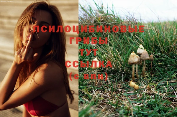 бошки Арсеньев